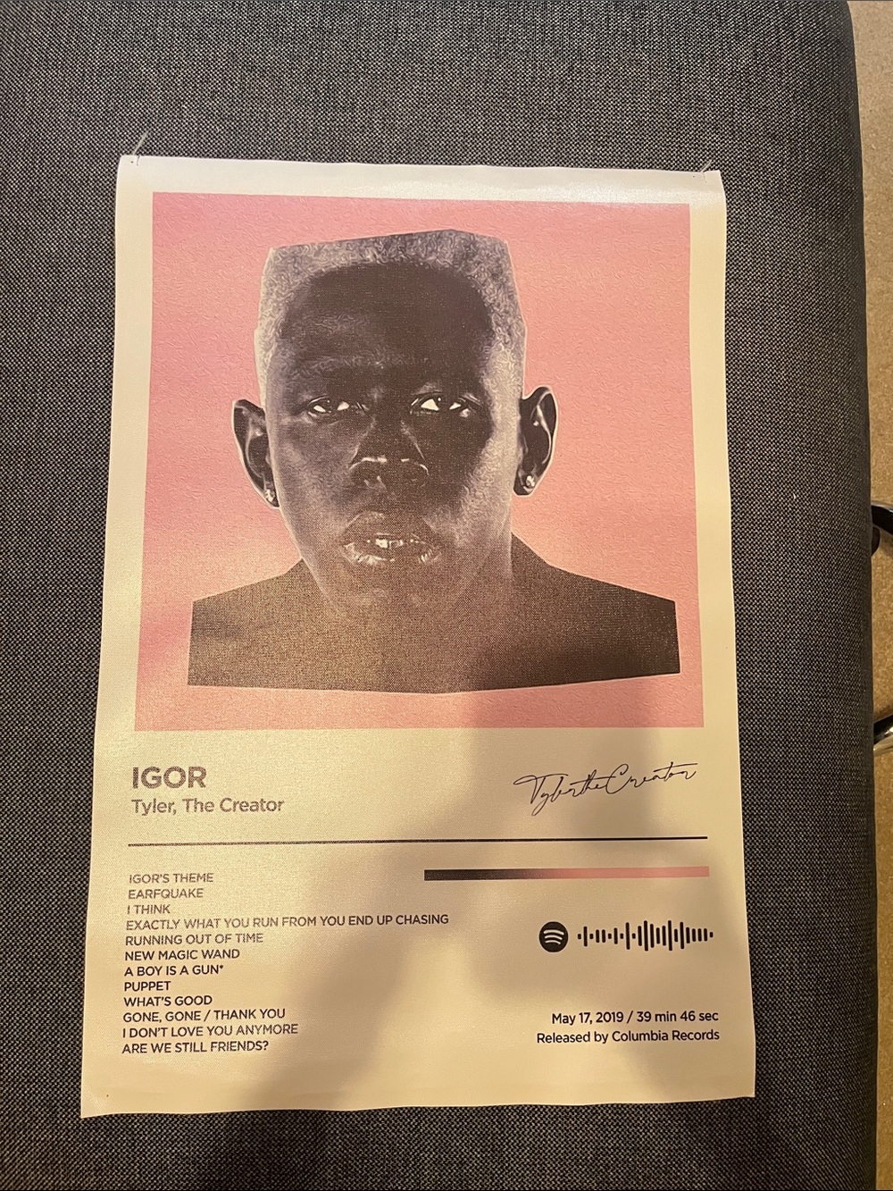 IGOR-Inspired Album Art Poster - Pink